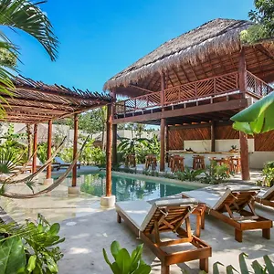 Zenses Wellness And Yoga - Adults Only 4*, Tulum Mexique
